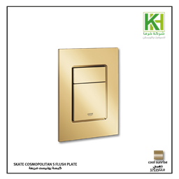Picture of GROHE SKATE AIR FLUSH PLATE GOLD